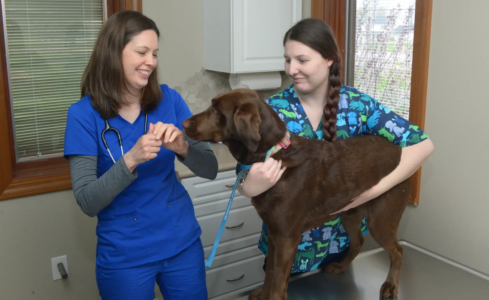 Veterinary Services Patient Exam